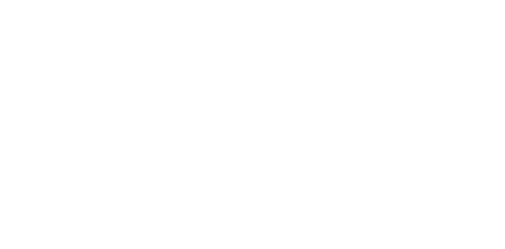 Logo Design für Sajetron